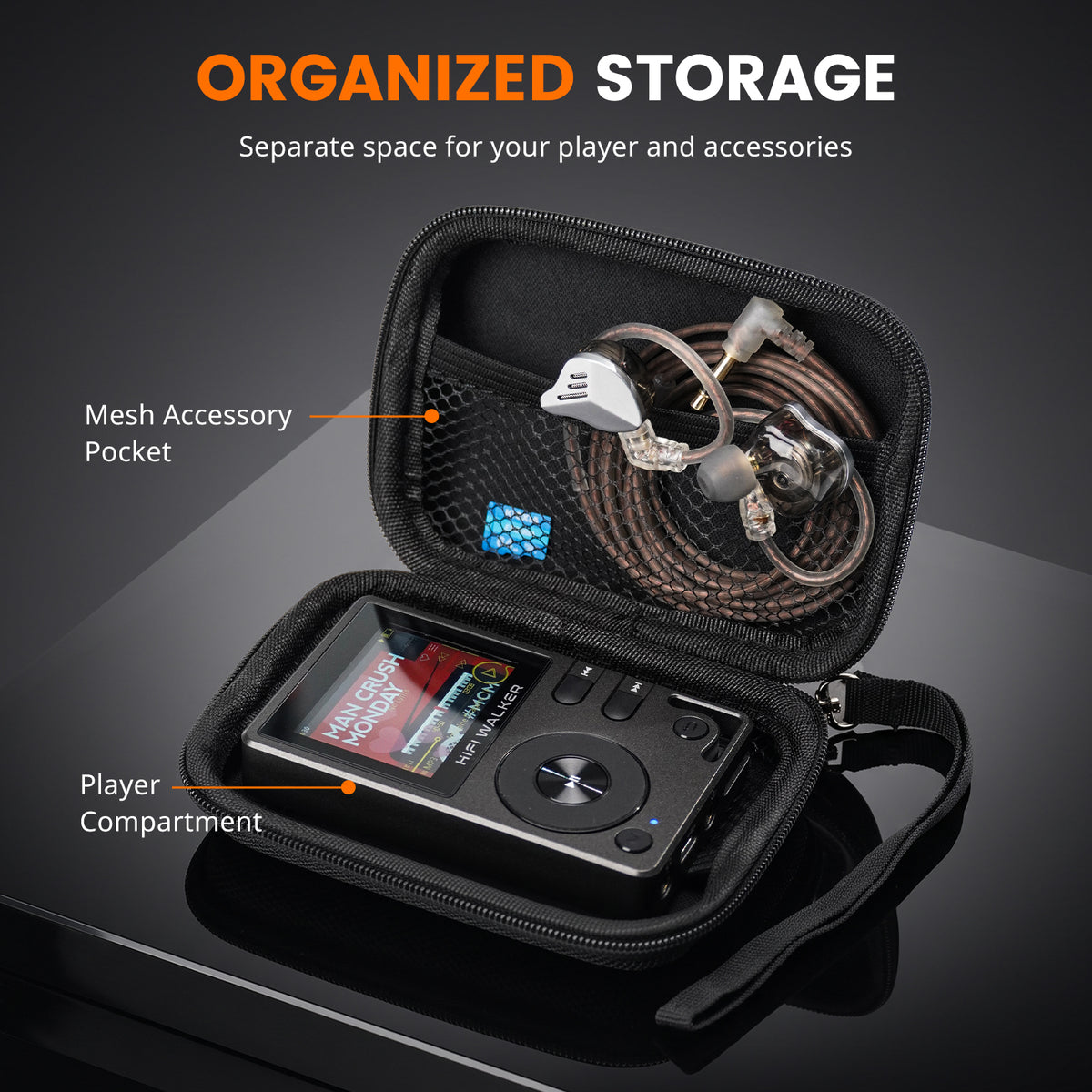 HIFI WALKER Case for H2/H2 Touch