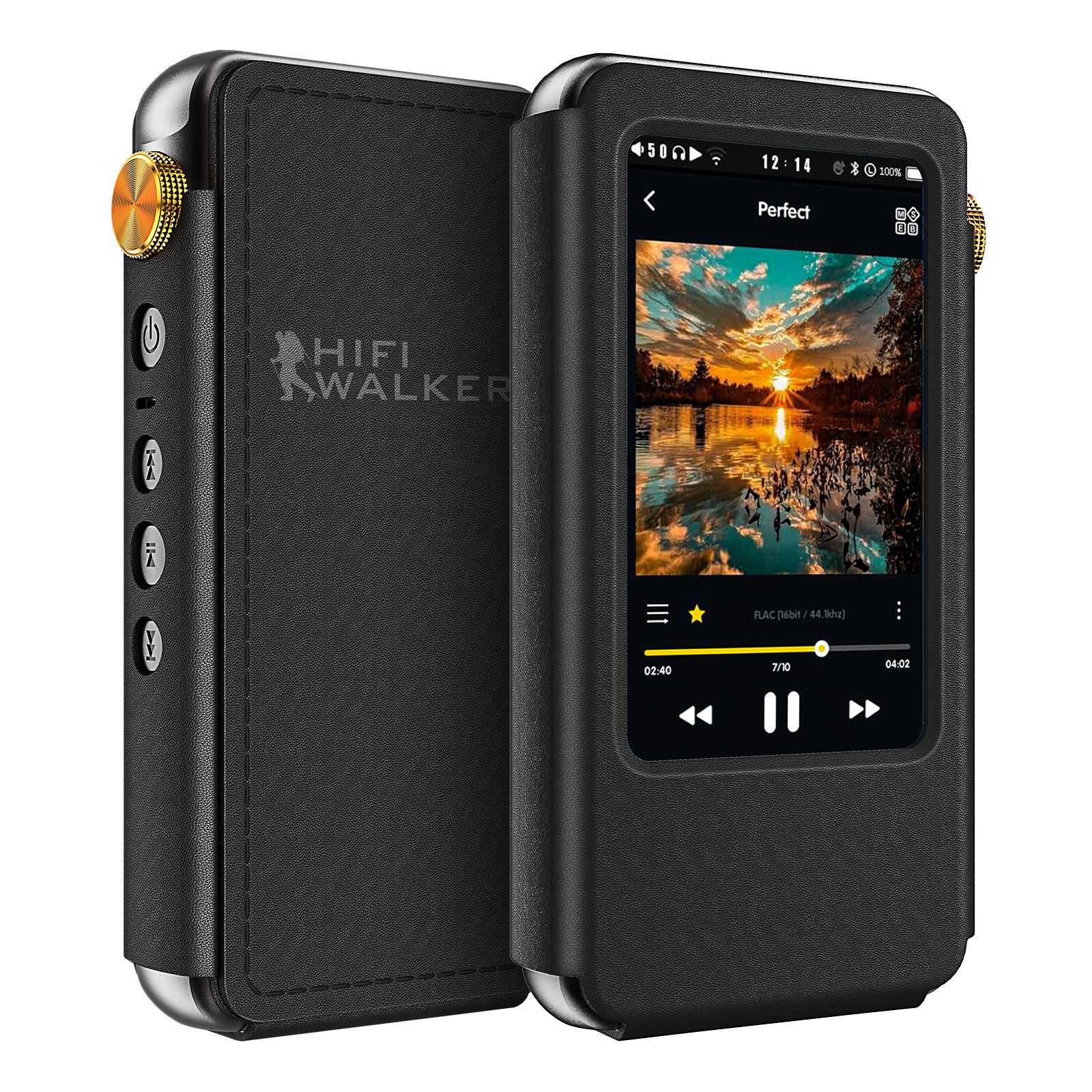 Hifi wlaker H20 pro leather case_1