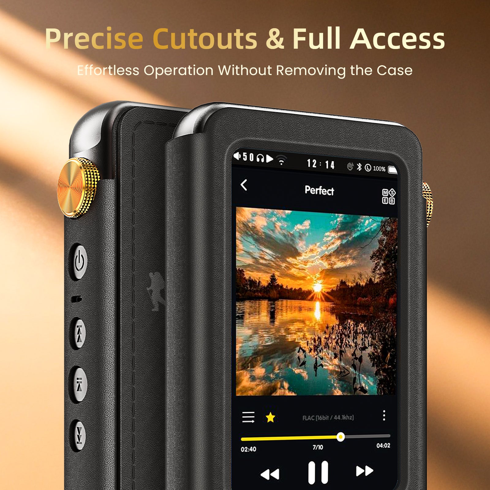 Hifi wlaker H20 pro leather case_4